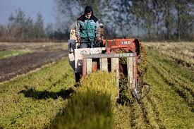 Backbencher issues over agriculture emission cuts